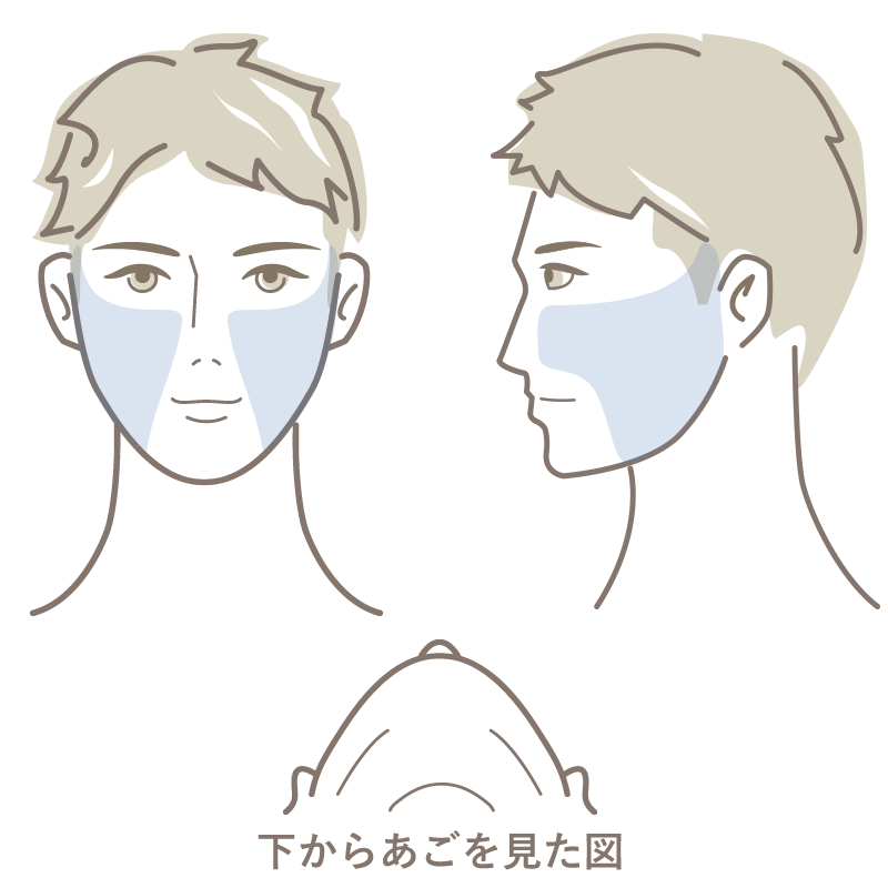 もみあげ周囲・頬