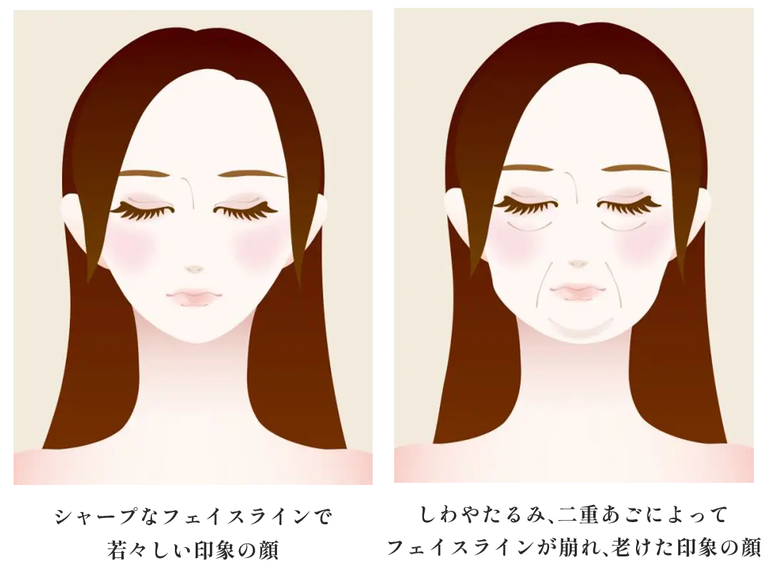 しわ・たるみによる印象の違い