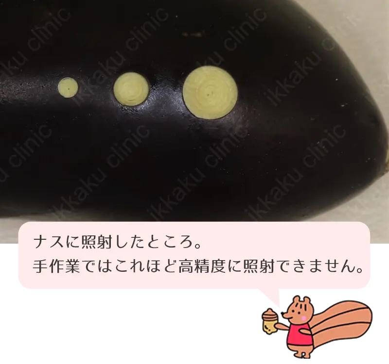 なすに照射
