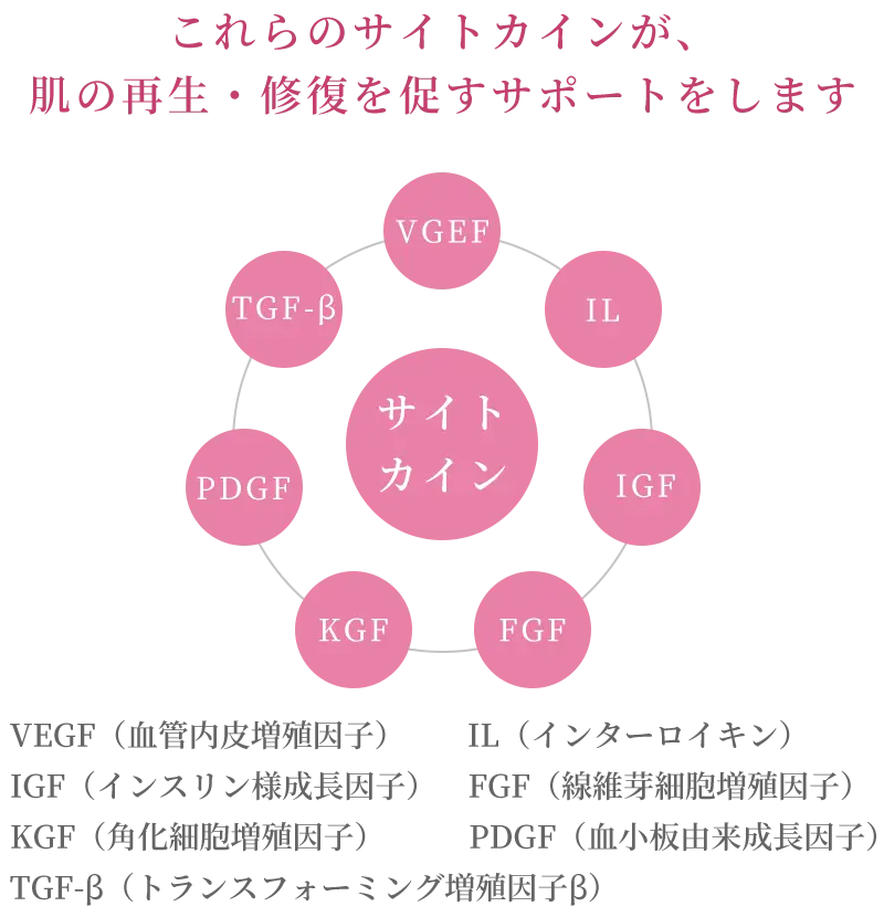 主要なサイトカイン