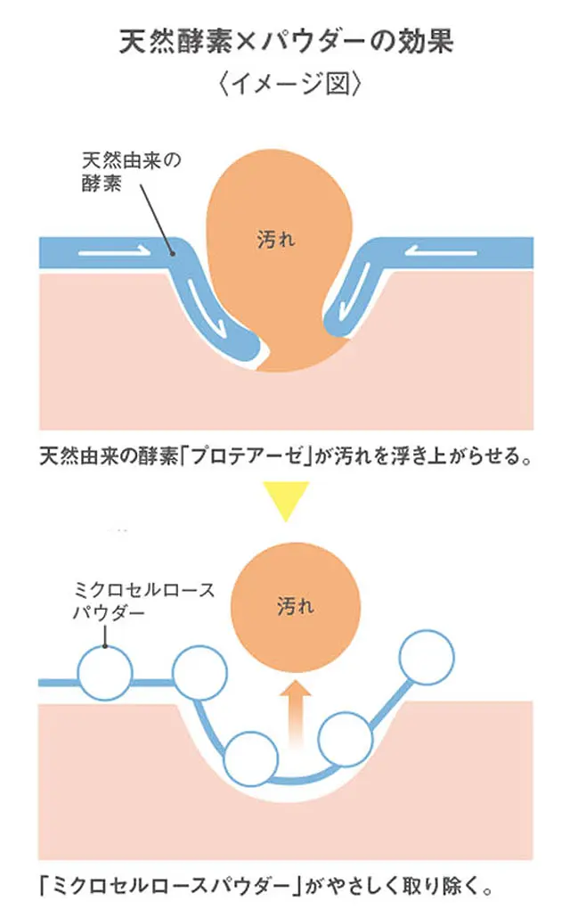 天然発酵×パウダーの効果