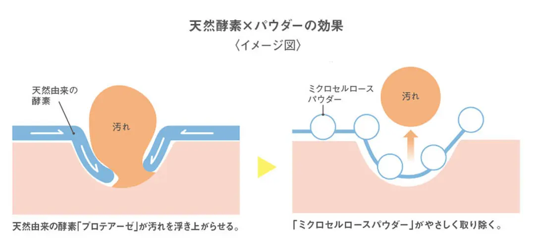 天然発酵×パウダーの効果