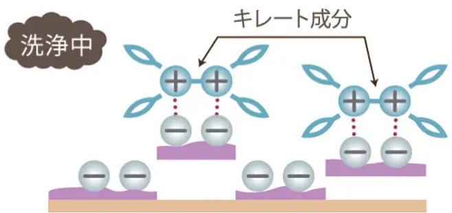 仕組み：洗浄後