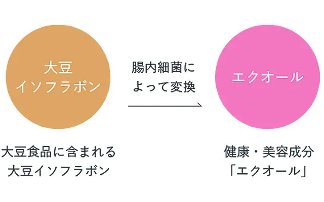 エクオール
