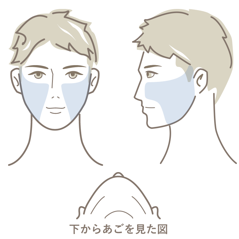 もみあげ周囲・頬